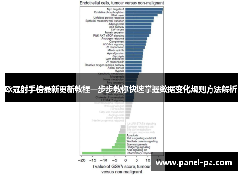 欧冠射手榜最新更新教程一步步教你快速掌握数据变化规则方法解析