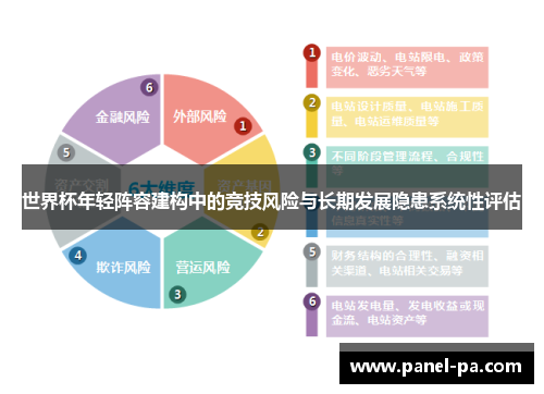 世界杯年轻阵容建构中的竞技风险与长期发展隐患系统性评估