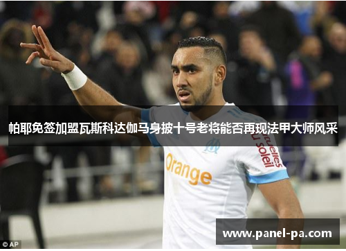 帕耶免签加盟瓦斯科达伽马身披十号老将能否再现法甲大师风采 帕耶免签加盟瓦斯科达伽马身披十号老将能否再现法甲大师风采