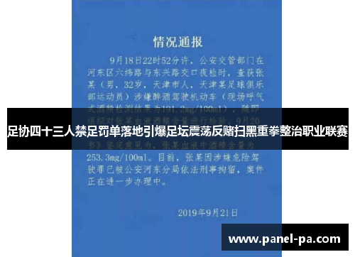 足协四十三人禁足罚单落地引爆足坛震荡反赌扫黑重拳整治职业联赛 足协四十三人禁足罚单落地引爆足坛震荡反赌扫黑重拳整治职业联赛